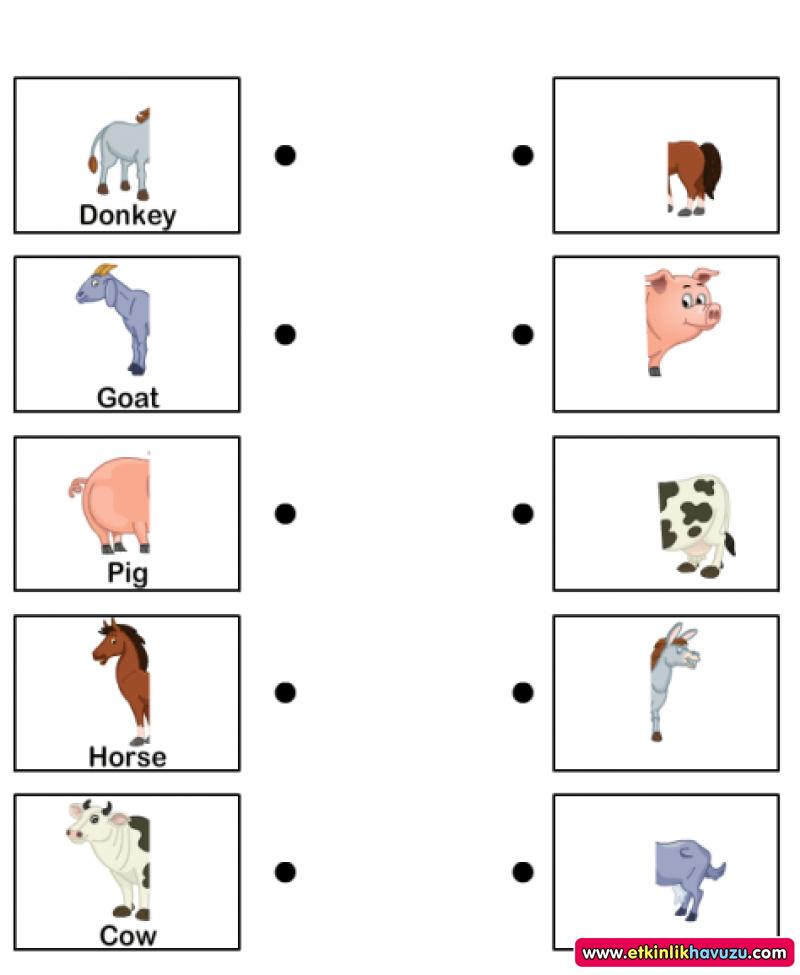 Match wordwall. Worksheets животные. Игры животные английский для дошкольников. Matching task with animals for Kids. Animals exercise for children.